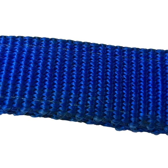 Blue Dog Leash 60” x 1” Heavy Duty Nylon Walking Training Pets - Picture 6 of 9